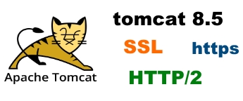 tomcat 8.5 SSL 사용 (  JKS , PKCS12, PEM ) HTTP/2 적용