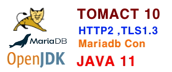 tomcat 10 설치 java 11 ,  mariadb  연결  ( SSL , HTTP2 , TLS 1.3 )