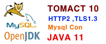 tomcat 10 설치 java 11 , Mysql 연결 ( HTTP2 , TLS 1.3 )