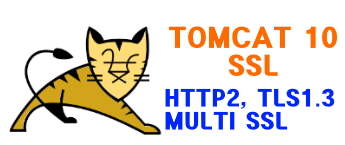 tomcat 10  SSL 설정 ( multi ssl 적용 ) HTTP2 , TLS 1.3 적용